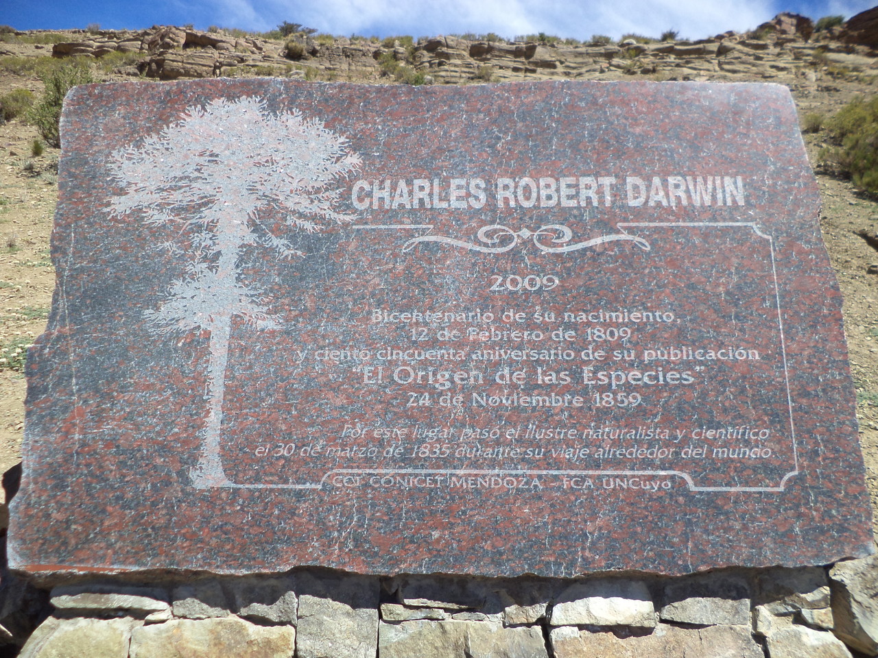 Placa que identifica el Bosque de Darwin