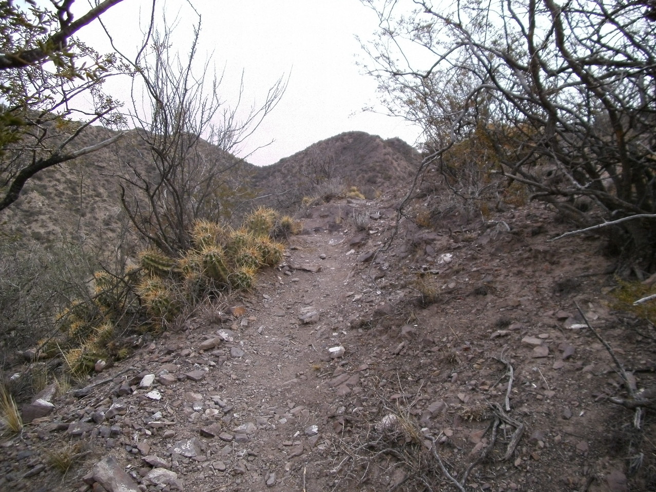 Sendero camino al cerro Aspero. Edgardo MOINE