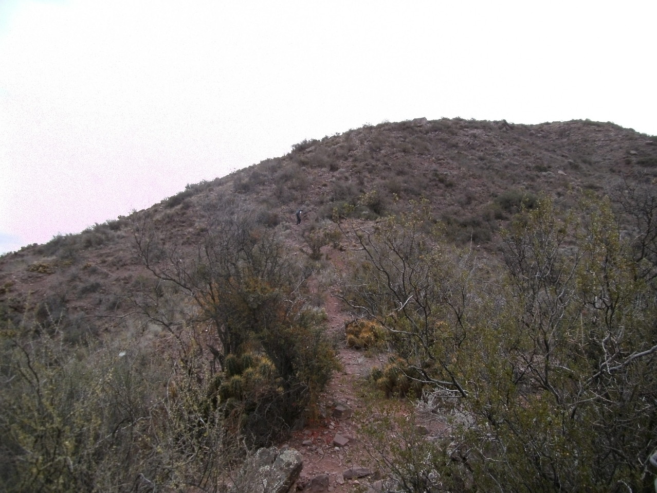 Sendero camino al cerro Aspero. Edgardo MOINE