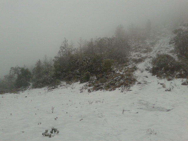 La neige à Sapa.