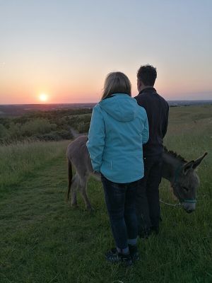 Wanderung mit Eseln in den Sonnenuntergang