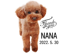 新しい試みペットのお墓