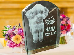 ペットのお墓シルフィード