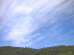 連日真夏日の北海道