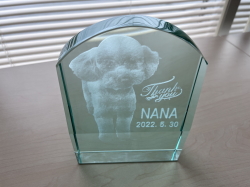 ガラスのペットのお墓