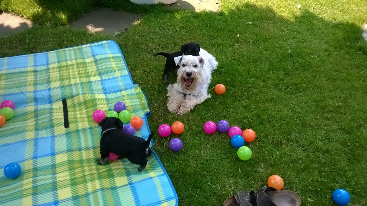 Onkel Gatsby passt gut auf.