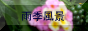 滝谷不動尊