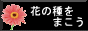 花の種をまこう