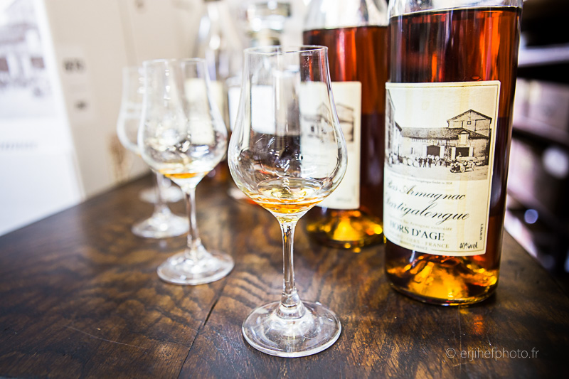 dartigalongue, bas armagnac, gers, nogaro, distillerie, ditillerie nogaro, distillerie dartigalongue, terroir,rachel jabot ferreiro, erjihef photo