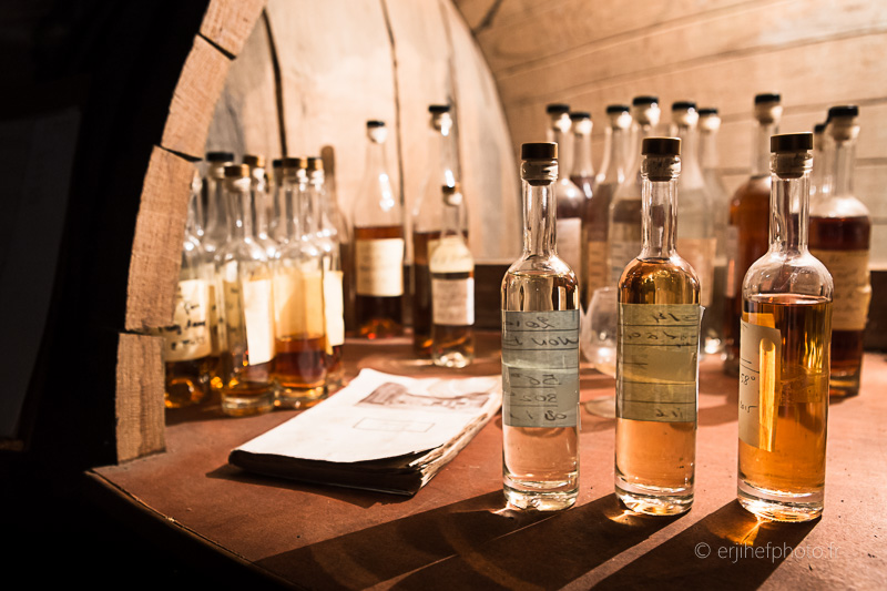 dartigalongue, bas armagnac, gers, nogaro, distillerie, ditillerie nogaro, distillerie dartigalongue, terroir,rachel jabot ferreiro, erjihef photo