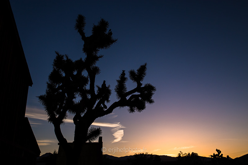 desert mojave, désert, yucca valley, joshua tree, road trip, road trip california, hit z road by zegut, rtl2, californie, etats unis, usa, rachel jabot ferreiro, erjihef photo, pioneertown