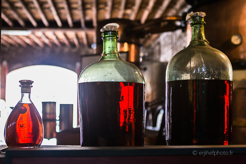 dartigalongue, bas armagnac, gers, nogaro, distillerie, ditillerie nogaro, distillerie dartigalongue, terroir,rachel jabot ferreiro, erjihef photo