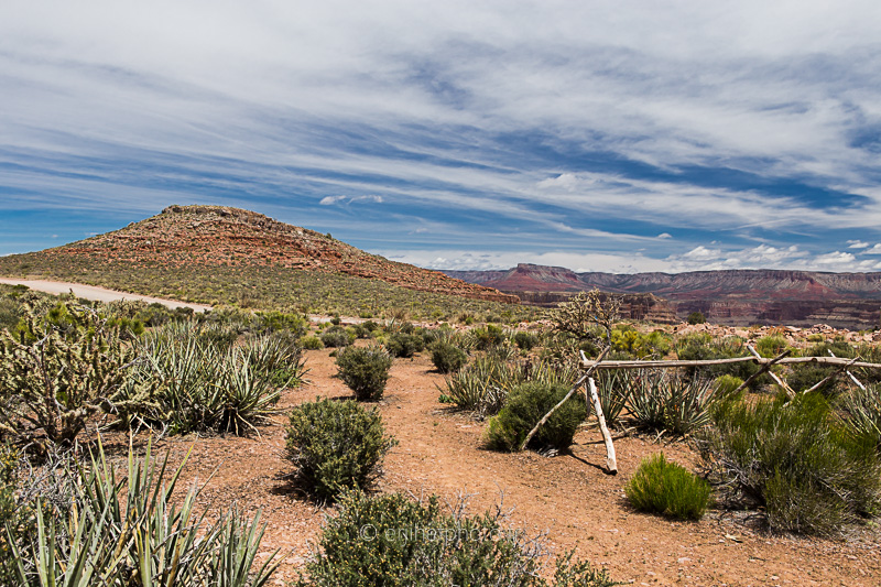 grand canyon, arizona, usa, etats unis, road trip californie, hit z road california, by zegut, rachel jabot ferreiro, erjihef photo