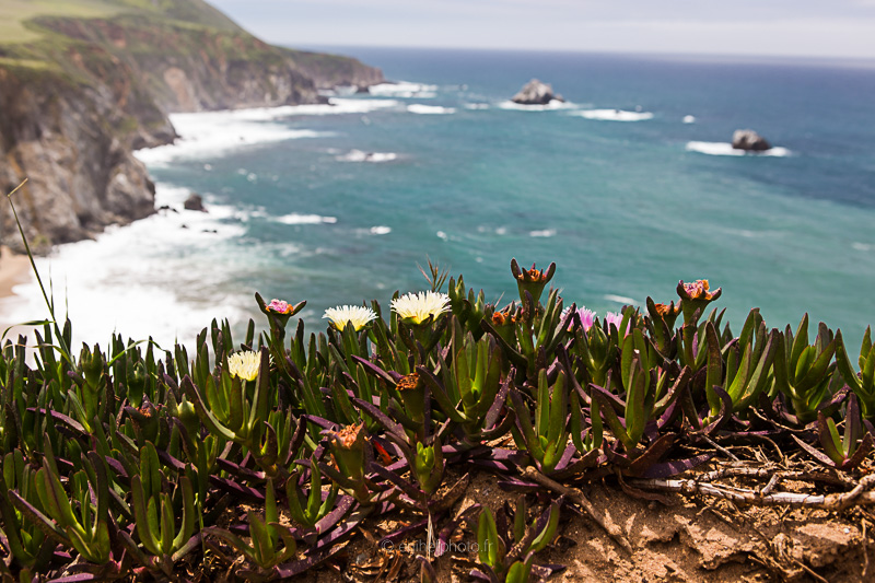 californie, états unis, united states, amérique du nord,pacifique, côte pacifique, california,road trip california, byzegut, rtl2, rachel jabot ferreiro, erjihef photo, big sur