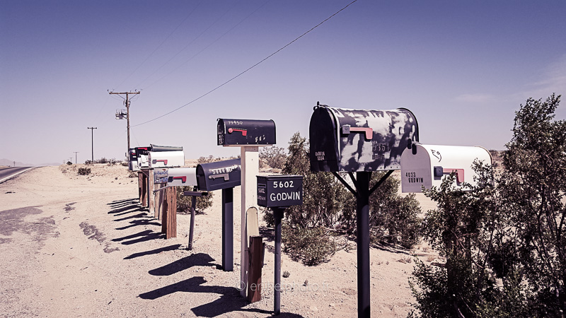 desert mojave, désert, yucca valley, joshua tree, road trip, road trip california, hit z road by zegut, rtl2, californie, etats unis, usa, rachel jabot ferreiro, erjihef photo