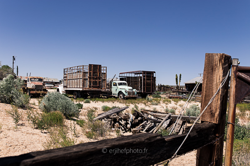 desert mojave, désert, yucca valley, joshua tree, road trip, road trip california, hit z road by zegut, rtl2, californie, etats unis, usa, rachel jabot ferreiro, erjihef photo