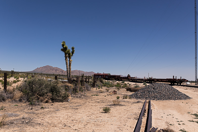 desert mojave, désert, yucca valley, joshua tree, road trip, road trip california, hit z road by zegut, rtl2, californie, etats unis, usa, rachel jabot ferreiro, erjihef photodesert mojave, désert, yucca valley, joshua tree, road trip, road trip californi