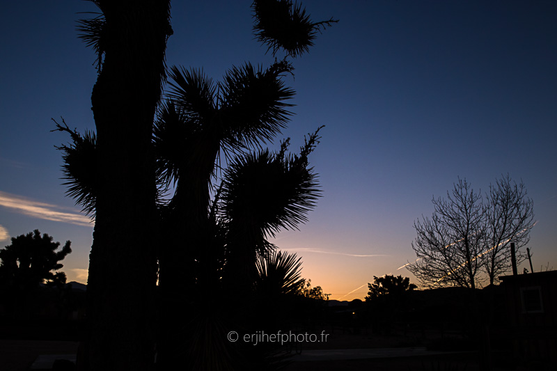 desert mojave, désert, yucca valley, joshua tree, road trip, road trip california, hit z road by zegut, rtl2, californie, etats unis, usa, rachel jabot ferreiro, erjihef photo, pioneertown
