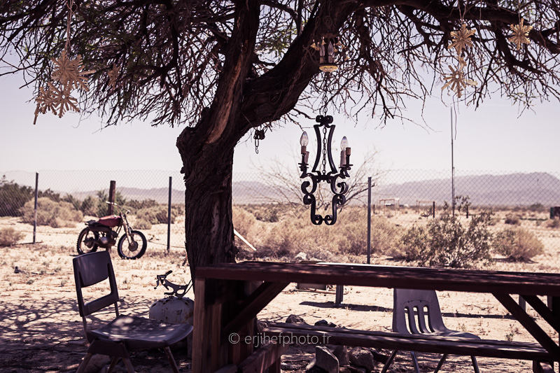 the palms, twentynine palms,desert mojave, désert, yucca valley, joshua tree, road trip, road trip california, hit z road by zegut, rtl2, californie, etats unis, usa, rachel jabot ferreiro, erjihef photo