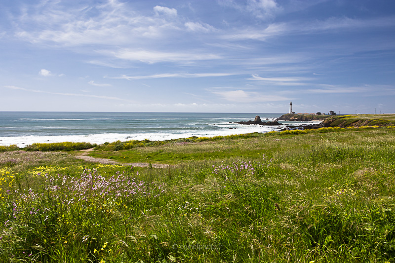 californie, états unis, united states, amérique du nord,pacifique, côte pacifique, california,road trip california, byzegut, rtl2, rachel jabot ferreiro, erjihef photo