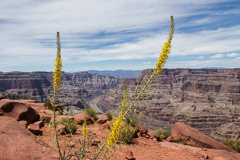 grand canyon, arizona, usa, etats unis, road trip californie, hit z road california, by zegut, rachel jabot ferreiro, erjihef photo