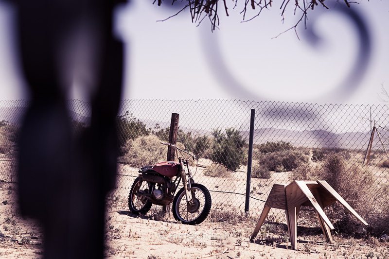 the palms, twentynine palms,desert mojave, désert, yucca valley, joshua tree, road trip, road trip california, hit z road by zegut, rtl2, californie, etats unis, usa, rachel jabot ferreiro, erjihef photo