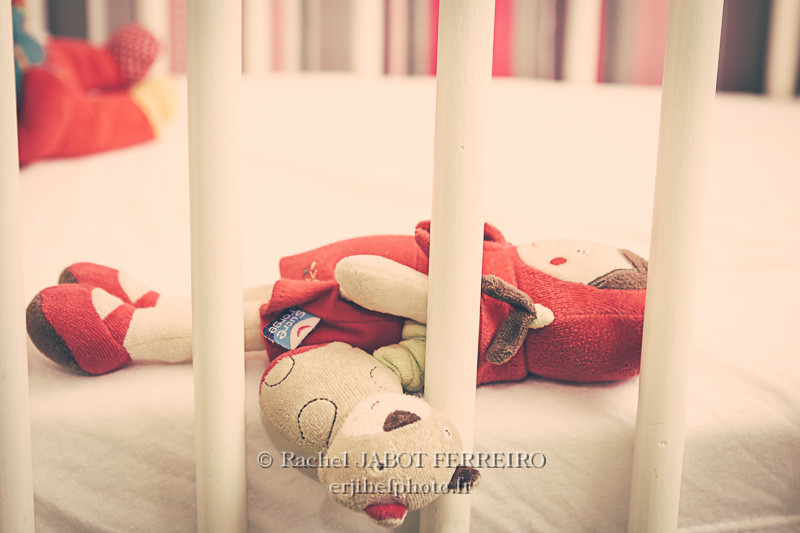 photo famille; photo enfants; rachel jabot ferreiro; erjihef photo