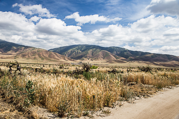 californie, états unis, united states, amérique du nord,pacifique, côte pacifique, california,road trip california, byzegut, rtl2, rachel jabot ferreiro, erjihef photo,désert