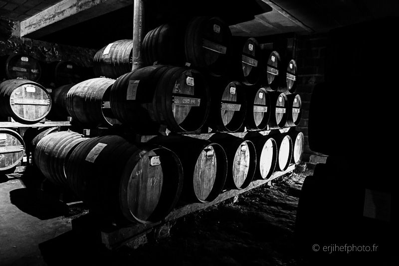 dartigalongue, bas armagnac, gers, nogaro, distillerie, ditillerie nogaro, distillerie dartigalongue, terroir,rachel jabot ferreiro, erjihef photo