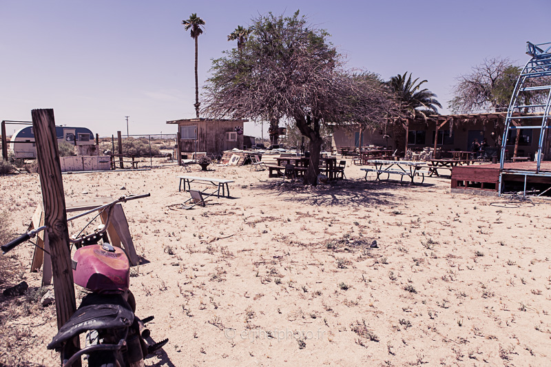 the palms, twentynine palms,desert mojave, désert, yucca valley, joshua tree, road trip, road trip california, hit z road by zegut, rtl2, californie, etats unis, usa, rachel jabot ferreiro, erjihef photo