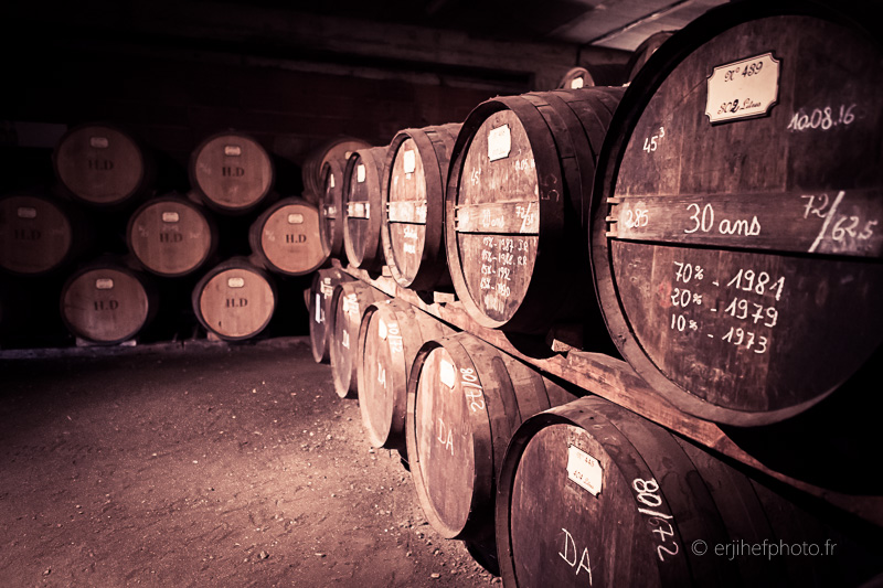 dartigalongue, bas armagnac, gers, nogaro, distillerie, ditillerie nogaro, distillerie dartigalongue, terroir,rachel jabot ferreiro, erjihef photo
