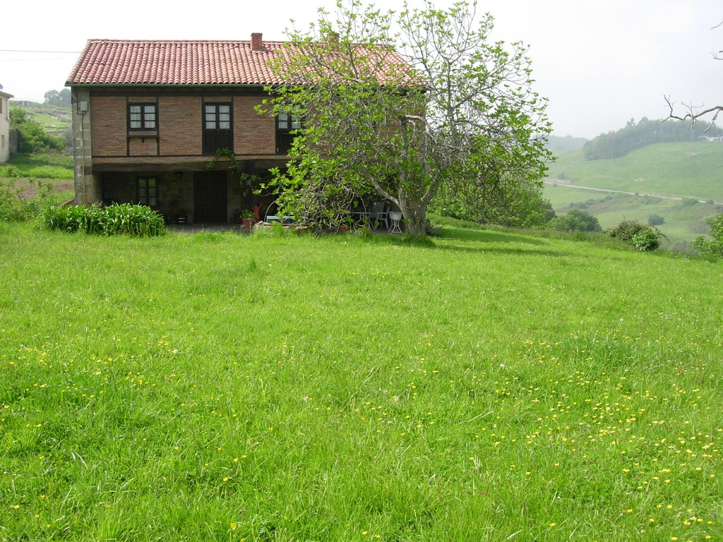 Diseño de jardines, terrazas y patios - Flores para bodas y eventos