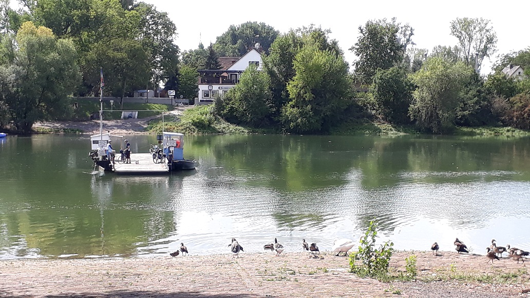 Über die Friesenheimer Insel nach Worms radtourenvorderpfalzs Webseite!