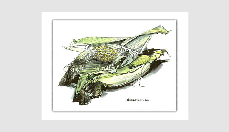 水彩画スケッチ watercolor sketch「トウモロコシ」