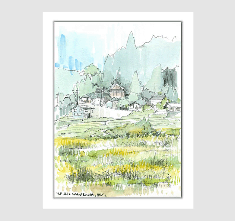水彩画スケッチ watercolor sketch「暗峠のセイタカアワダチソウ」