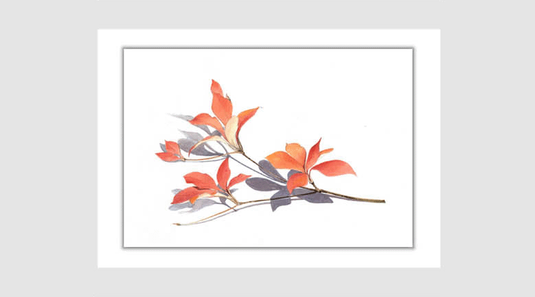 水彩画スケッチ watercolor sketch「ドウダンツツジ」