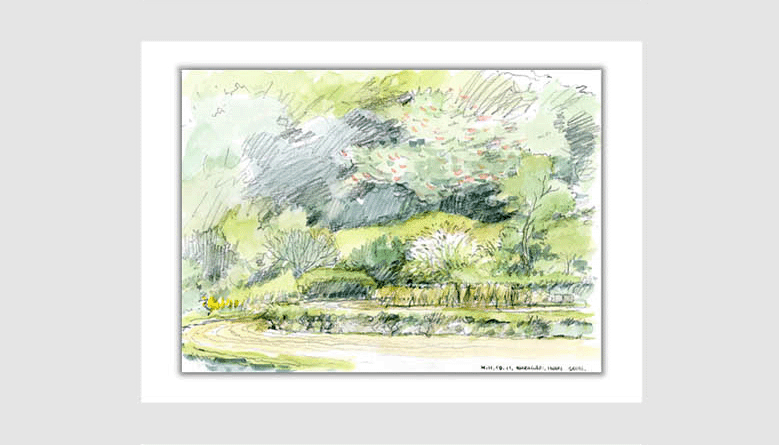 水彩画スケッチ watercolor sketch「棚田の稲木」