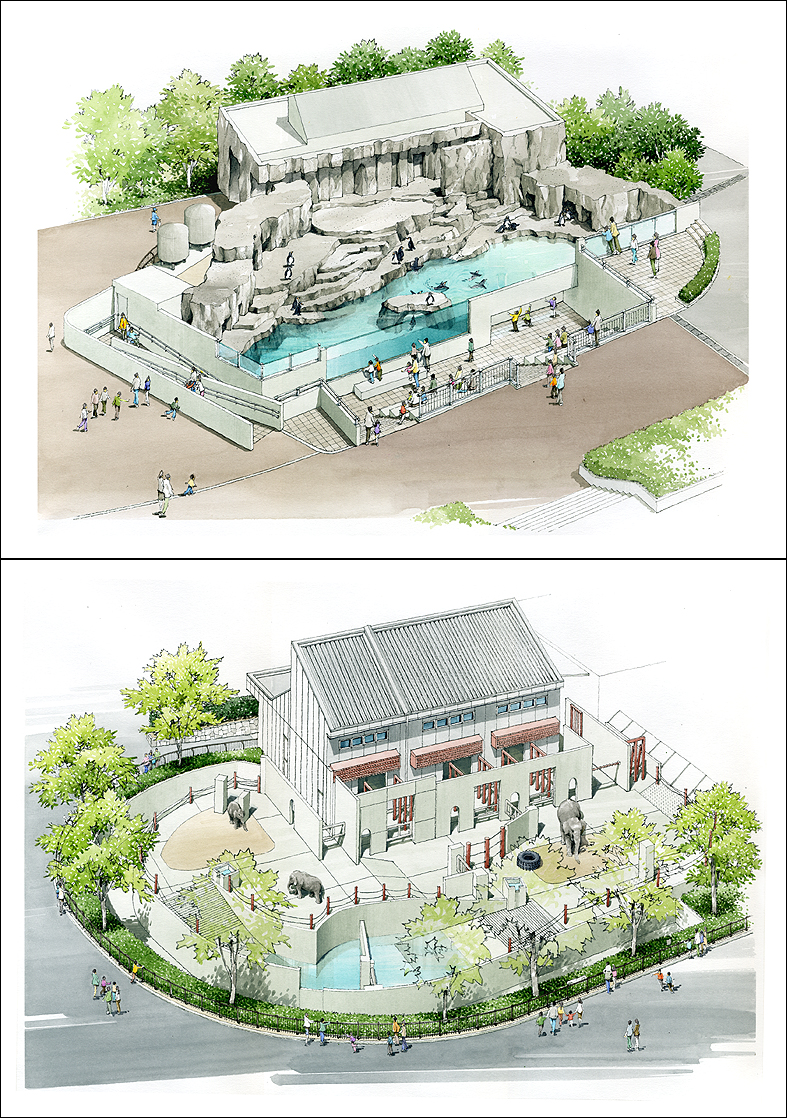 手描き動物園パース　施設パース　zoo improvement image perspective drawing