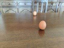 Faire tenir un oeuf cru sur la table !