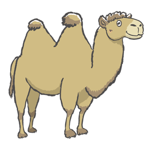 イケウチリリーのお仕事 動物 イケウチ リリーのページ イケウチリリーのお仕事 動物 イケウチ リリーのページ