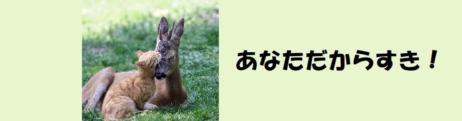 劇的にモラハラを封じ込め、夫婦関係に役立つ言葉