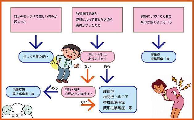 金沢市ほしみぐさの簡単腰痛チェック