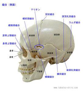 痛くない小顔矯正ならほしみぐさ 金沢市の整体院ほしみぐさ 痛くない小顔矯正ならほしみぐさ 金沢市の整体院ほしみぐさ