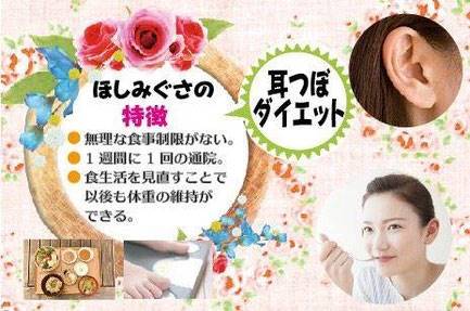 金沢市の骨盤矯正「ほしみぐさ」の耳つぼダイエットの特徴