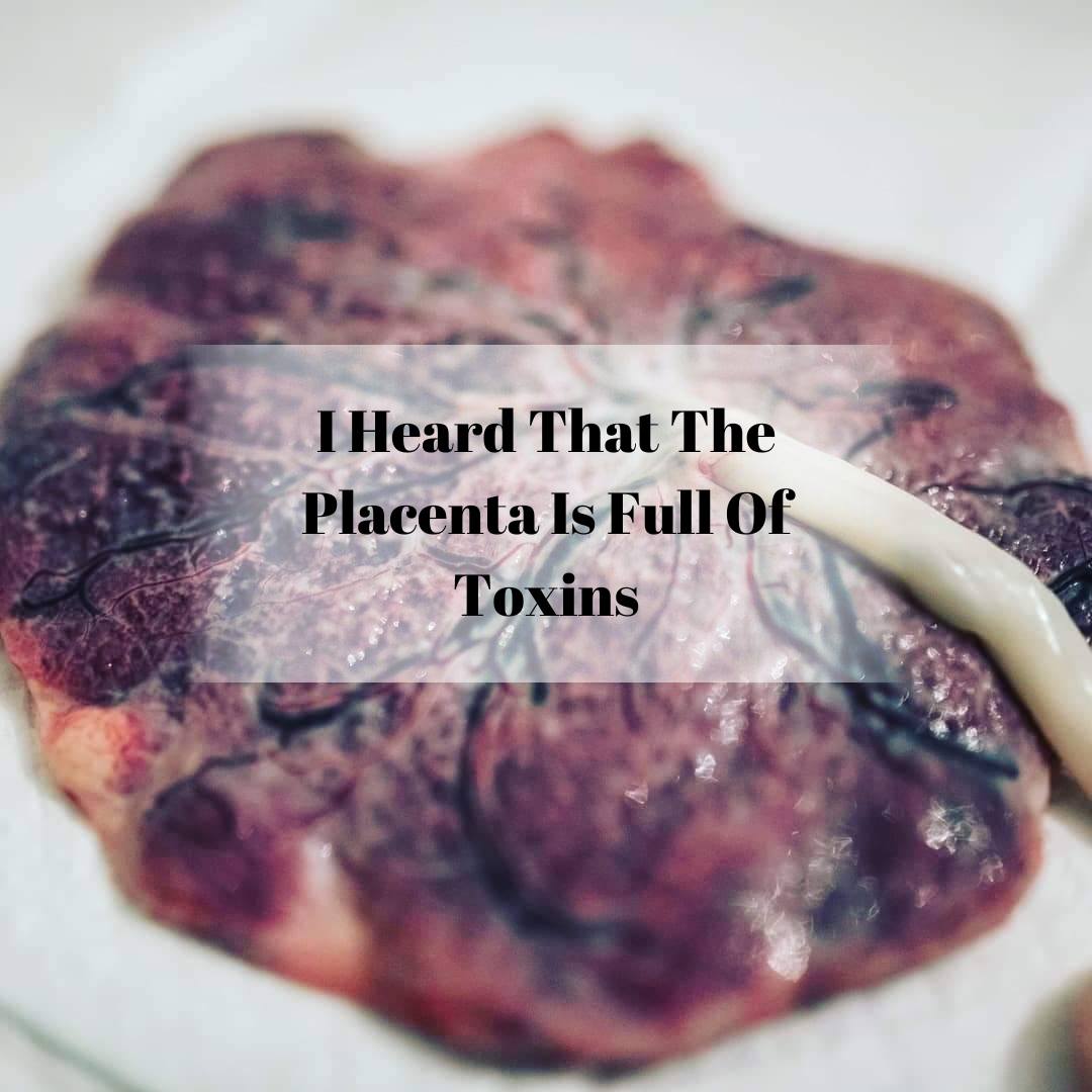 I Heard That The Placenta Is Full Of Toxins