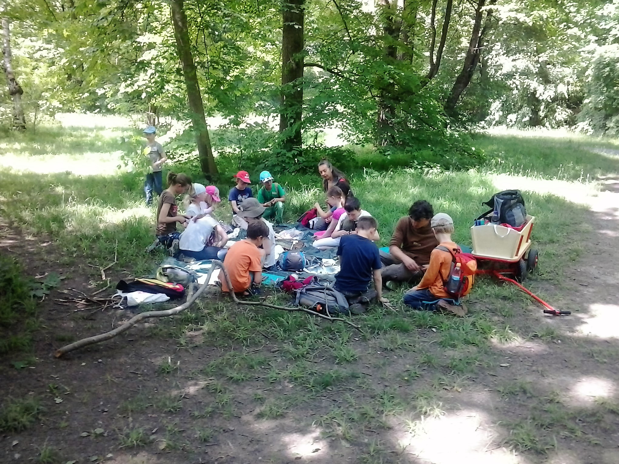 Bastelen mit Naturmaterialien im Wald
