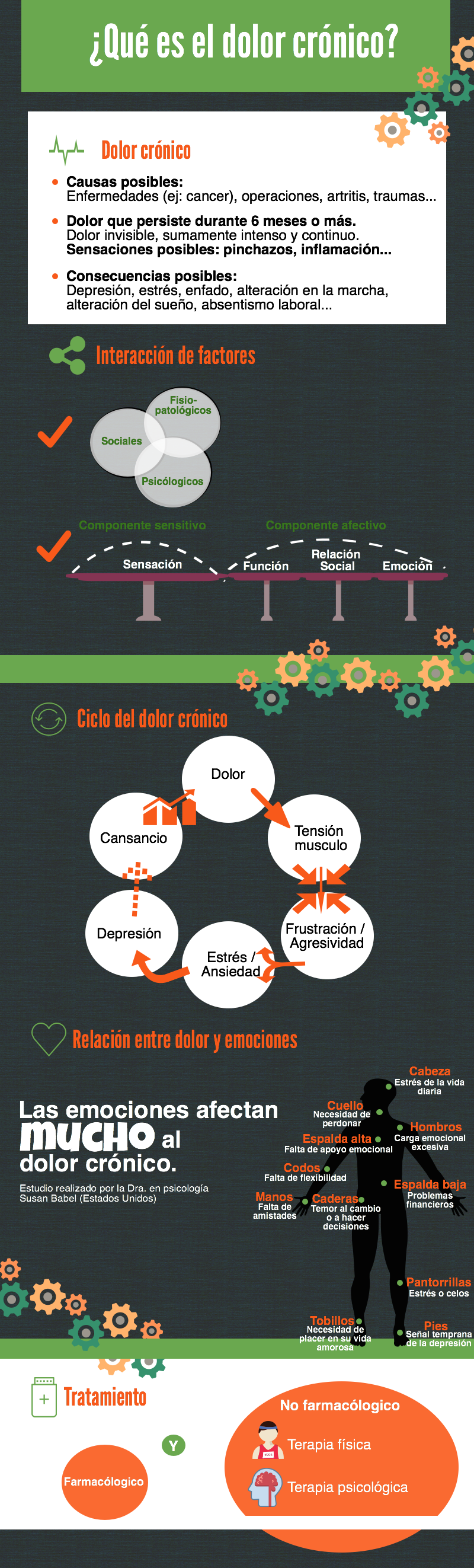 infografía dolor crónico por vida de cebra