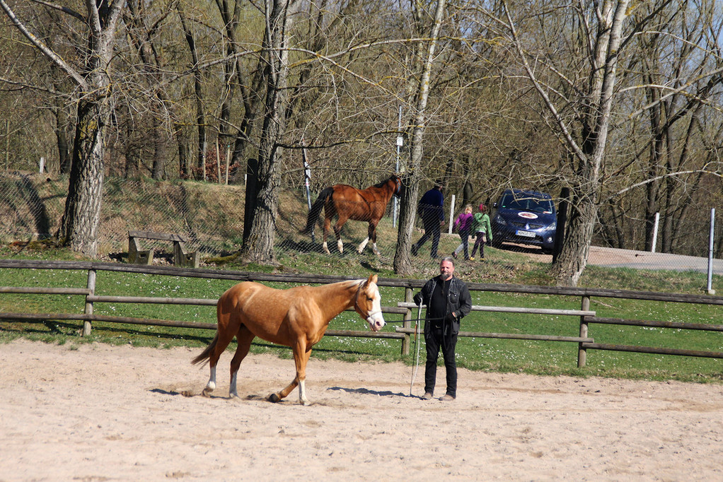 Fred und Angel