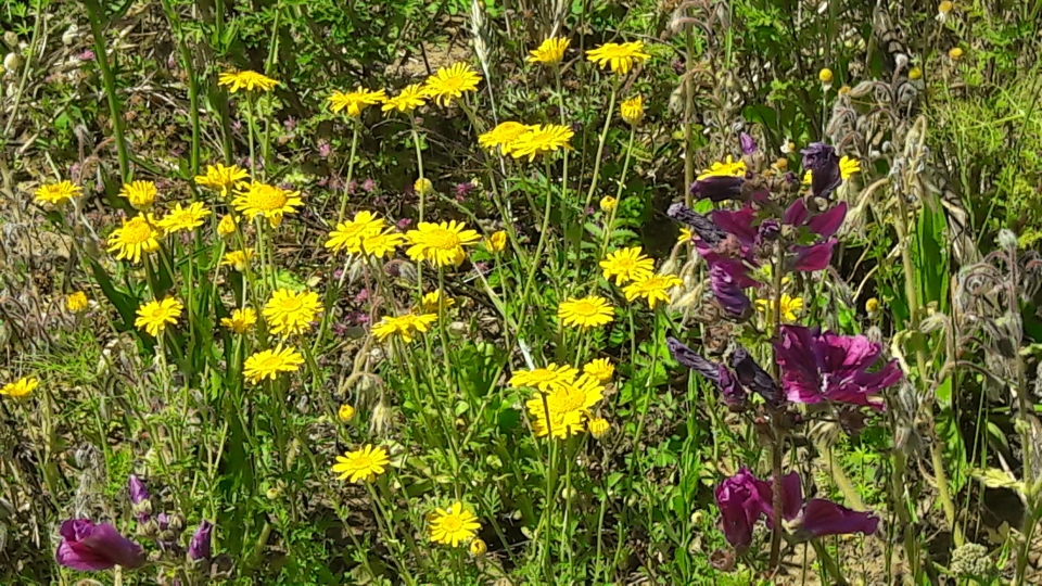 Strahle in Dir - Naturritual