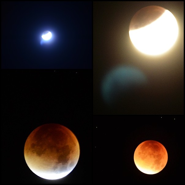 2015.09.28 Super Blood Moon, Vollmond, Blutmond Copyright, AincaArt, Ainca Gautschi-Moser, Foto und Text, Writer, Photographer, Quersatz,